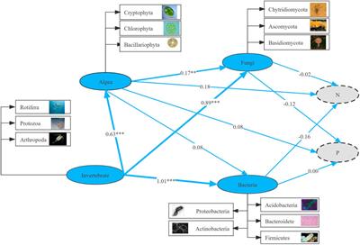 Using eDNA to Identify the Dynamic Evolution of Multi-Trophic Communities Under the Eco-Hydrological Changes in River